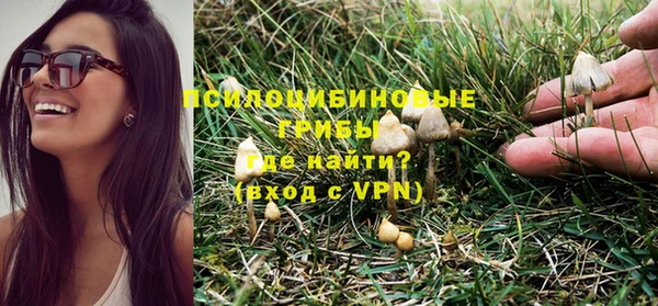 тгк Заволжск
