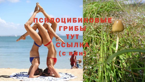 метамфетамин Елизово